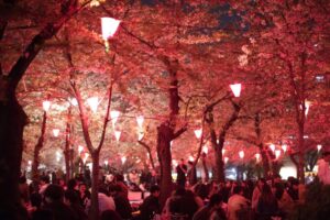 Festival de sakura no Japão