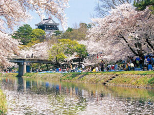 Castelo e sakura no Japão