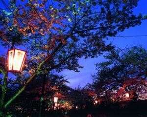 Festival de sakura no Japão