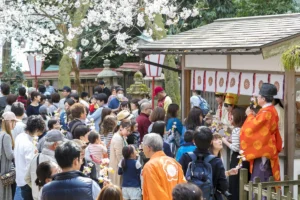 Festival de sakura em Fukui no Japão