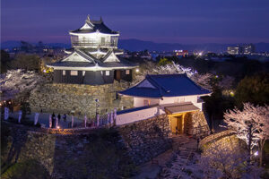 castelo de Hamamatsu