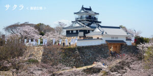 castelo de Hamamatsu