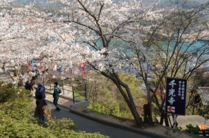 cerejeira em Hiroshima