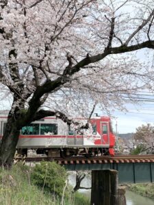 trem e sakura no Japão