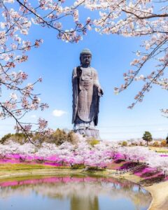 estátua de buda em Ibaraki