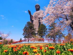 estátua de buda em Ibaraki