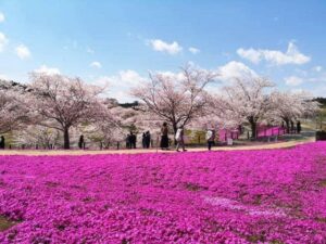 parque de Ibaraki